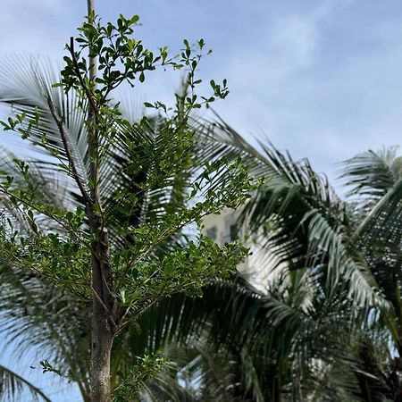 Wanderlust Garden Inn Mui Ne Dış mekan fotoğraf